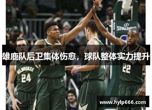 雄鹿队后卫集体伤愈，球队整体实力提升