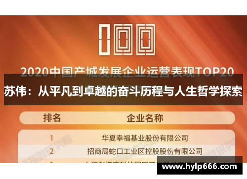 苏伟：从平凡到卓越的奋斗历程与人生哲学探索